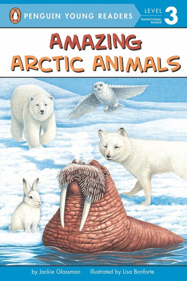 Jackie Glassman - Amazing Arctic Animals, Häftad