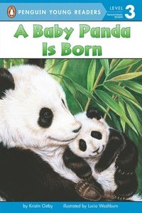 bokomslag A Baby Panda Is Born