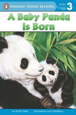 A Baby Panda Is Born 1