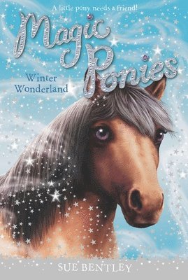 Sue Bentley - Winter Wonderland, Häftad