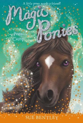 Sue Bentley - Pony Camp #8, Häftad