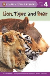 bokomslag Lion, Tiger, and Bear