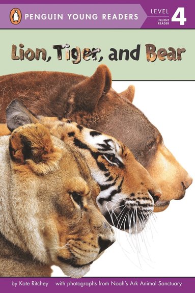 Kate Ritchey - Lion, Tiger, and Bear, Häftad