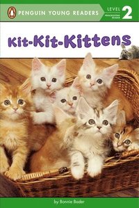 bokomslag Kit-Kit-Kittens