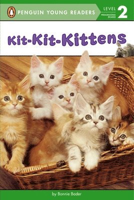 Kit-Kit-Kittens 1