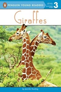 bokomslag Giraffes