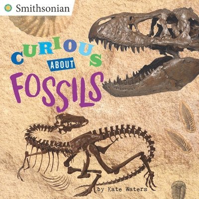 Curious About Fossils 1