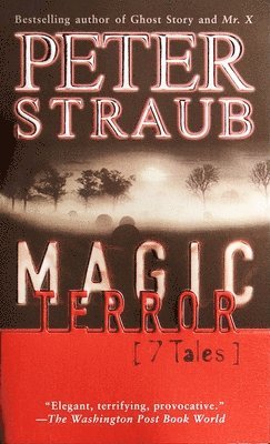 bokomslag Magic Terror