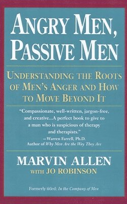 bokomslag Angry Men, Passive Men
