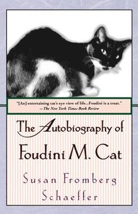 bokomslag The Autobiography of Foudini M. Cat
