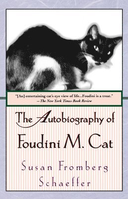 The Autobiography of Foudini M. Cat 1