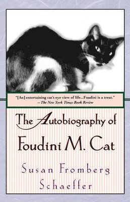 Susan Fromberg Schaeffer - The Autobiography of Foudini M. Cat, Häftad