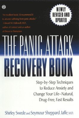 bokomslag Panic Attack Recovery Book