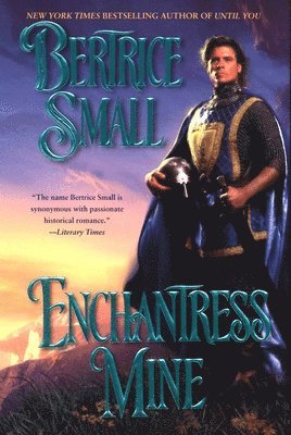 Bertrice Small - Enchantress Mine, Häftad