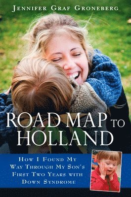 bokomslag Road Map to Holland