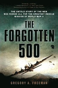 bokomslag Forgotten 500