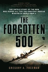 bokomslag The Forgotten 500