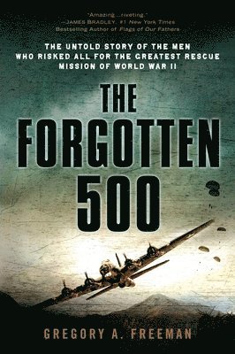 bokomslag The Forgotten 500