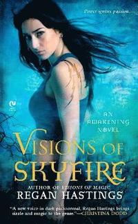bokomslag Visions of Skyfire