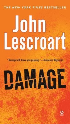 bokomslag Damage