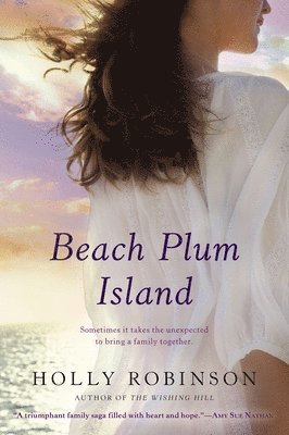 Beach Plum Island 1