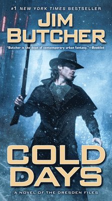 bokomslag Dresden Files 14. Cold Days
