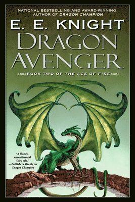 Dragon Avenger 1