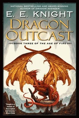 bokomslag Dragon Outcast: The Age of Fire, Book Three