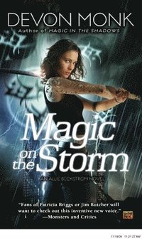 bokomslag Magic On The Storm