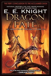 bokomslag Dragon Fate: Book Six of the Age of Fire