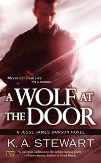 bokomslag A Wolf at the Door