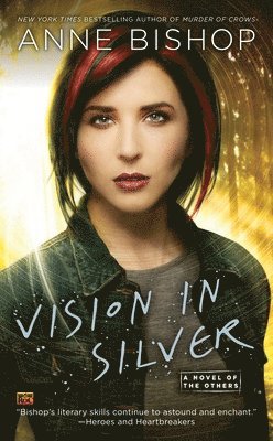 Vision In Silver 1