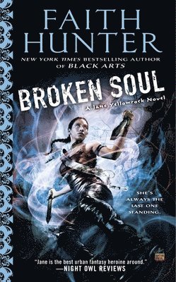 bokomslag Broken Soul