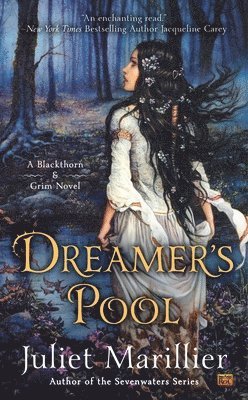 Juliet Marillier - Dreamer's Pool, Häftad