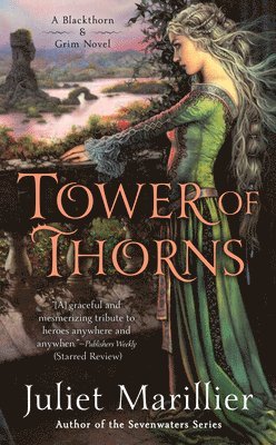 bokomslag Tower Of Thorns