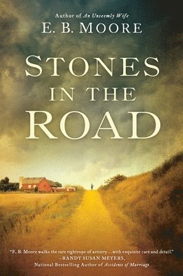Stones in the Road