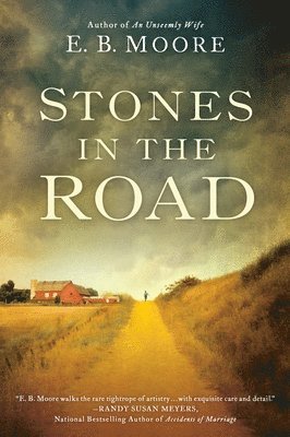 Stones in the Road 1