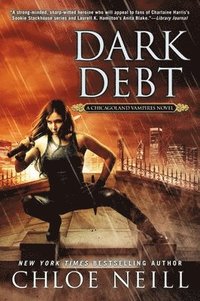 bokomslag Dark Debt