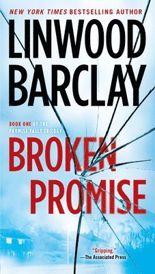 Broken Promise 1