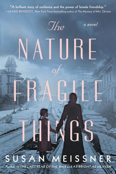 Susan Meissner - Nature of Fragile Things, Häftad