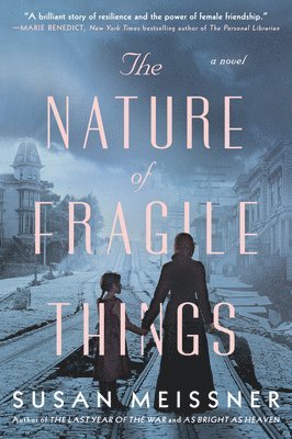 The Nature of Fragile Things 1