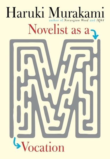 bokomslag Novelist as a Vocation