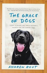 bokomslag The Grace of Dogs