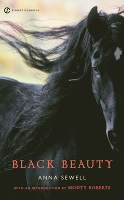 Black Beauty