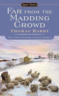 bokomslag Far from the Madding Crowd