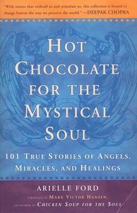 bokomslag Hot Chocolate for the Mystical Soul: 101 True Stories of Angels, Miracles, and Healings