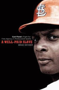 bokomslag A Well-Paid Slave