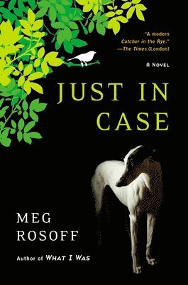 Meg Rosoff - Just in Case, Häftad