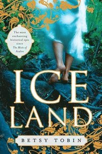 bokomslag Ice Land