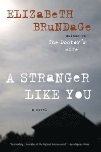 bokomslag A Stranger Like You